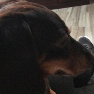 Meet your Posher, Sandra